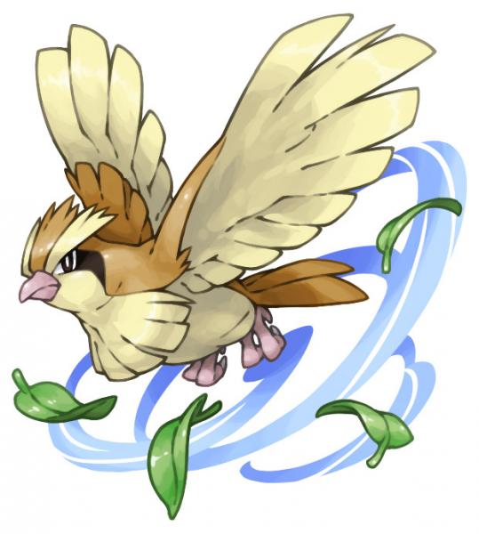 Pidge
(This picture doesn't belong to me! Credit goes to its rightful owner!)