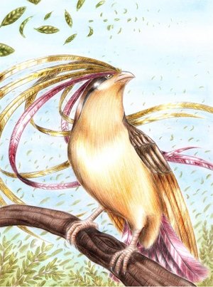 Pidgeot Hand drawing (I forget who the artist is)