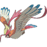 Pidgeot Mega
