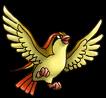 pidgeot