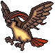 Pidgeot