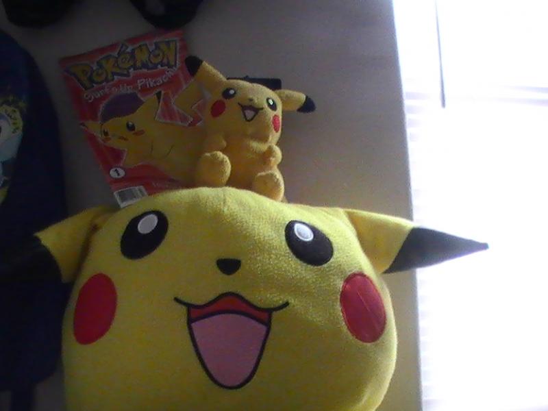 pika pi stuffs 003