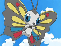 pinella the beautifly *alpha sapphire*