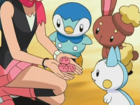 pippy the piplup, bunny the buneary & pachi the pachirisu *pokemon pearl*