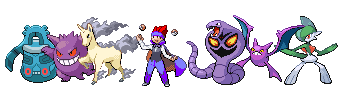 pkmn team