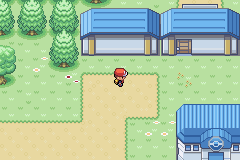 pkmndriftwood