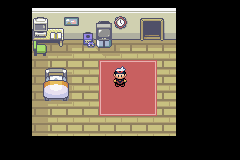 Player's House