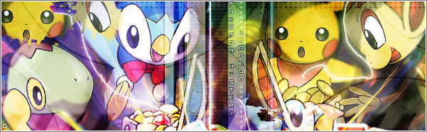 PMD2 banner