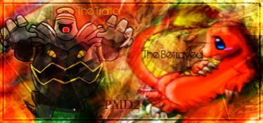 PMD2 Tag