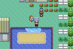 Pokémon Darkness Version 4