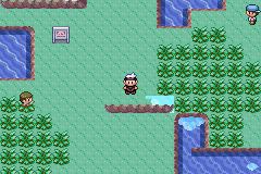 Pokémon Darkness Version 5