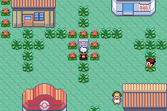 Pokémon Darkness Version 6