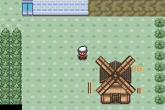 Pokemart and GYM