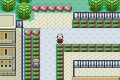 POKEMO~2 01