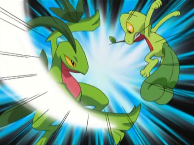 Pokemon Advanced Challenge   317   PAC01   What You Seed is What You Get JDS DVD  23A66E70  092 0003