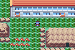 Pokemon   Axed # GBA
