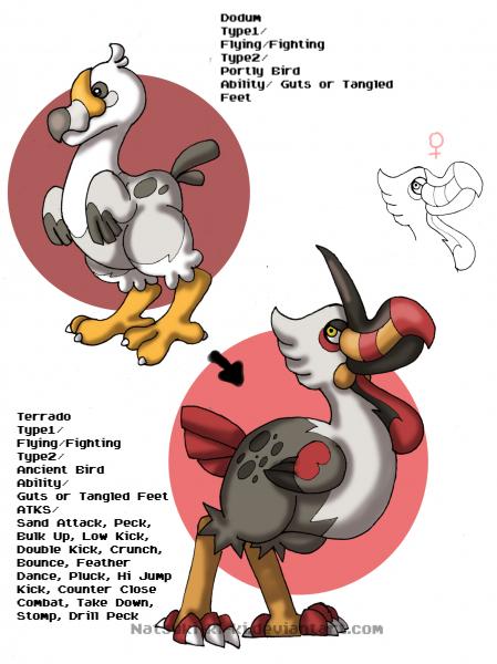 Pokemon based on the Dodo Bird