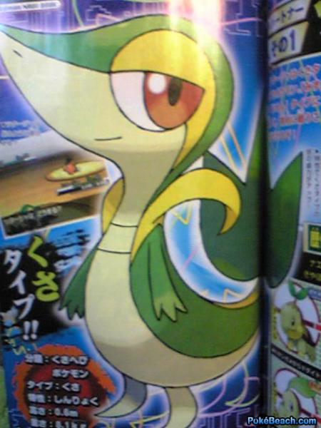 pokemon black/white starters photo
