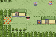pokemon crystal remake 01