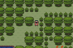 pokemon crystal remake 03