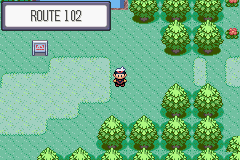 Pokemon Dark Ruby2