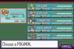 Pokemon Dark Ruby4