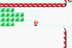 Pokemon Dark Shadows- invisible wall i couldnt walk through