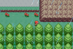 Pokemon Dark Shadows-invisible wall