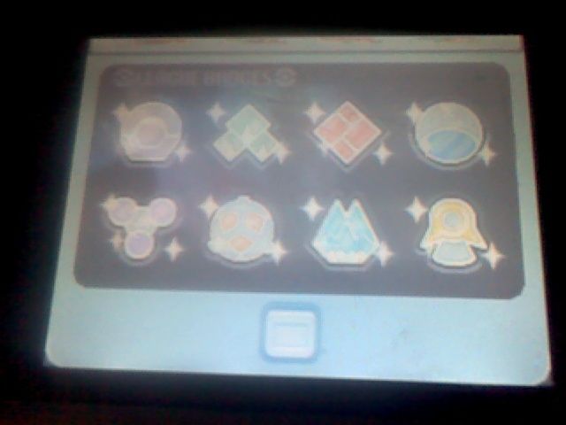 Pokemon Diamond Badges
All 8.