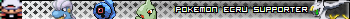 Pokemon Ecru Supporter