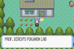 Pokemon Emerald 02