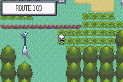 Pokemon Emerald 10