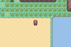 Pokemon   Fire Red # GBA