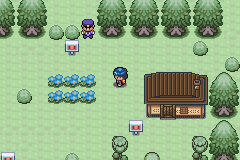 Pokemon   Fire Red # GBA