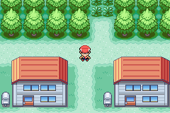 Pokemon Fire Red Platinum5