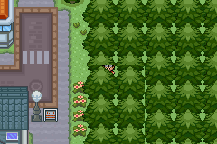 Pokemon Glazed tree glitch