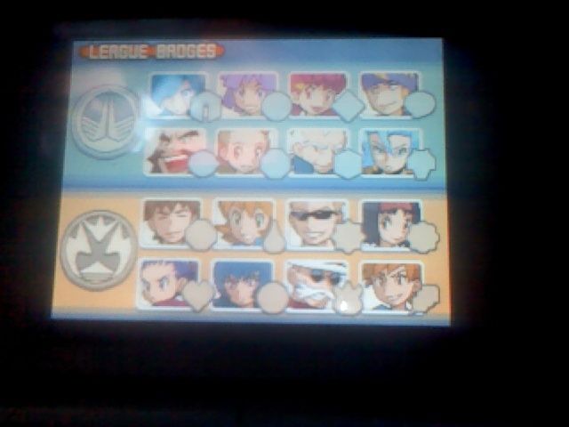 Pokemon HeartGold Badges
All 16.
