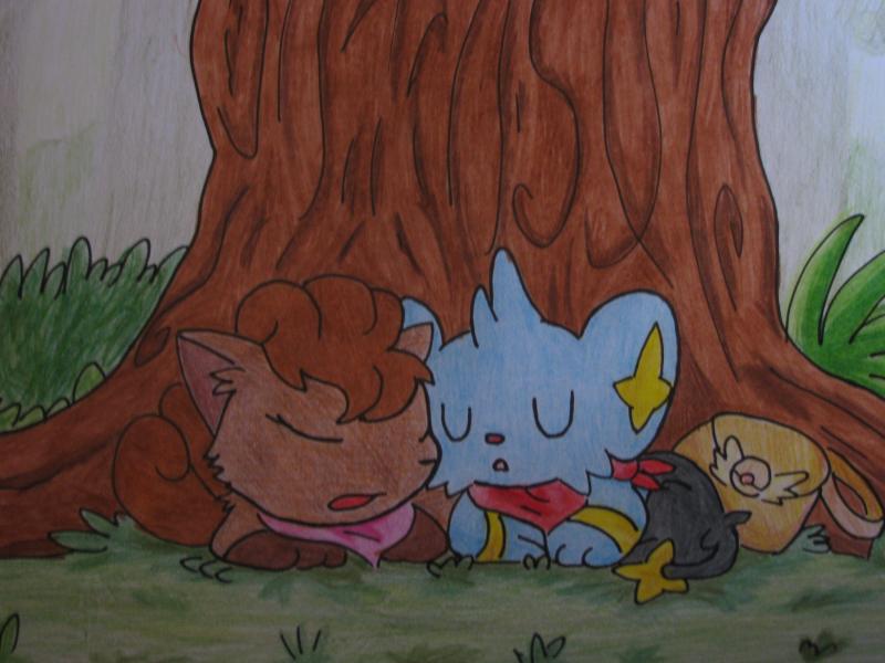 Pokemon Mystery Dungeon Explorers of Sky