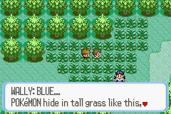 Pokemon Ruby 07