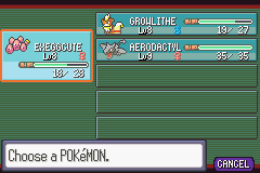 Pokemon Ruby 08