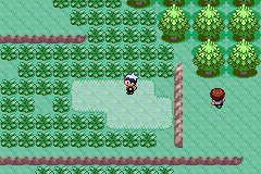 Pokemon Ruby 16