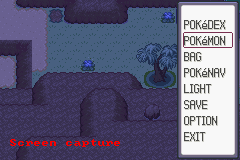 Pokemon Ruby Destiny 3   Life of Guardians08