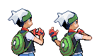 Pokemon Trainer Brendan ( back )