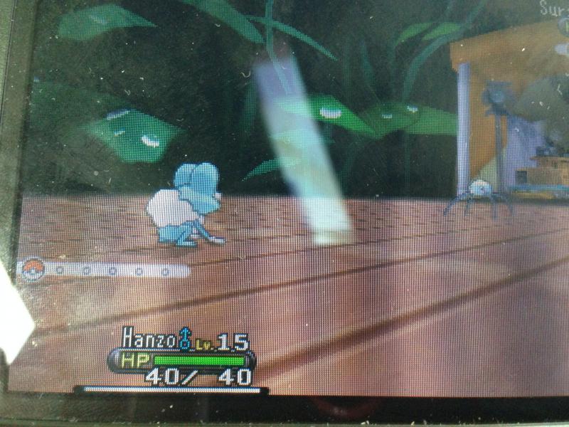 Pokemon x first gym