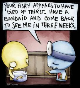 Pon and Zi.