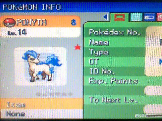 Ponyta