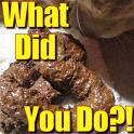 poo