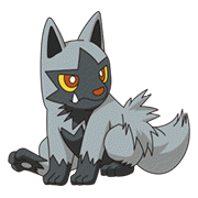 Poochyena Sitting Down