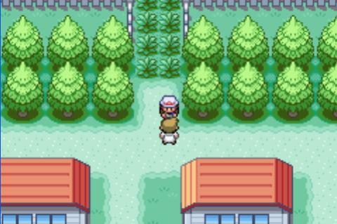 Professor Oak comes running