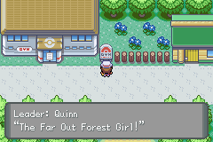 Quinn, Gordian City Gym Leader Second Half